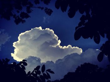 Low angle view of silhouette trees against blue sky