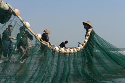 Low angle view of people perching on leaf against clear sky