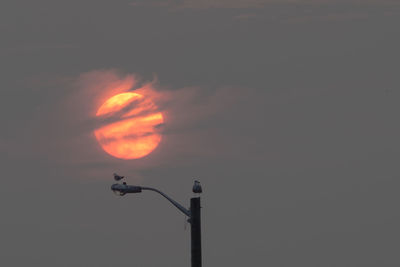 Street light against sky during sunset