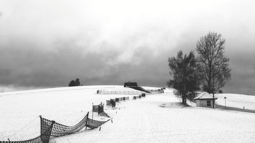 View of trees on snow covered landscape