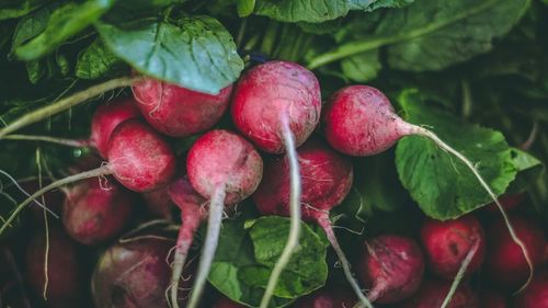 Close-up of beetroots for sale at market