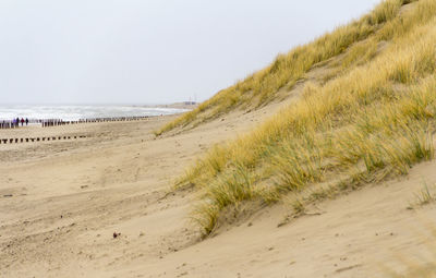 Scenic view of beach against clear sky