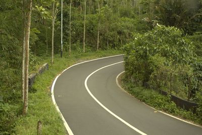 Empty road amidst trees in forest