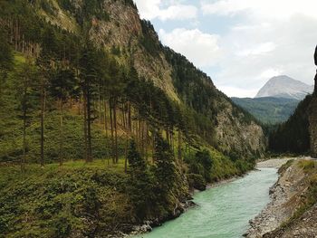 Trees growing by river against sky at forest