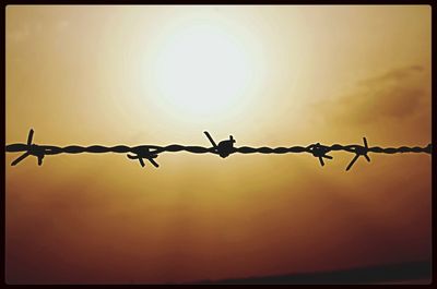 Barbed wire against sky at sunset