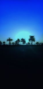 Silhouette palm trees on landscape against blue sky