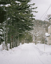 Snow covered road amidst trees and buildings