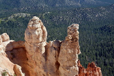 View of tree mountain