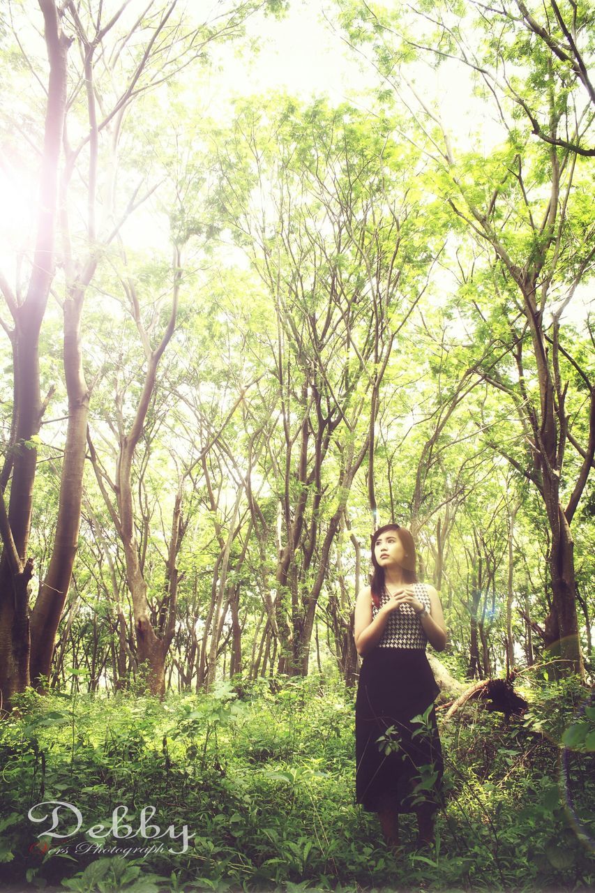 tree, lifestyles, young adult, leisure activity, growth, casual clothing, sunlight, tree trunk, nature, forest, person, sunbeam, young women, tranquility, day, front view, branch