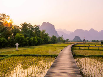 landscape
