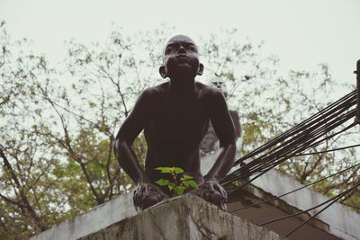 Low angle view of trees