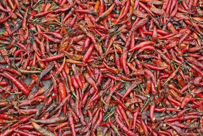 Full frame shot of dry red chili pepper