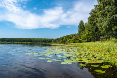 Scenic view of lake against sky