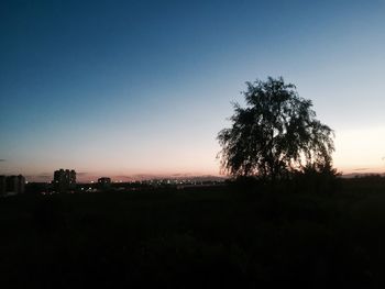 Silhouette tree against clear sky at sunset