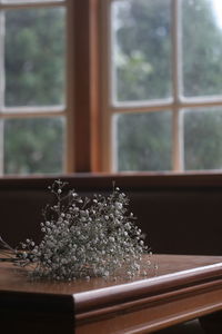 Close-up of flower on table at home