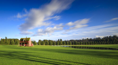 Scenic view of field against sky
