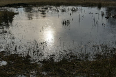 Scenic view of lake