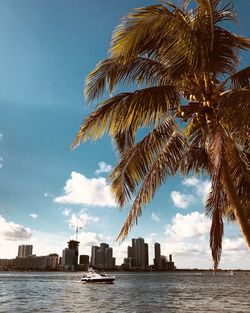 Summer day in venetian islands, miami beach, florida 