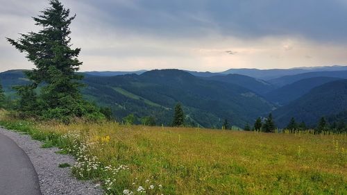 Scenic view of landscape against sky