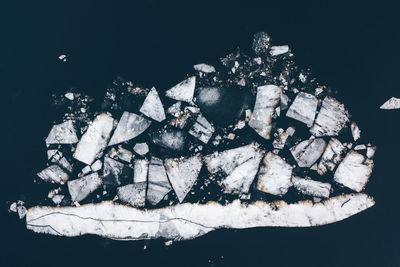 High angle view of plant on rock against black background