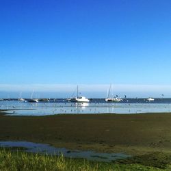 Boats in sea