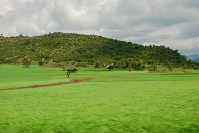 Scenic view of landscape against sky