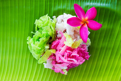 Close-up of pink rose on leaves