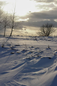 Bare trees on snow covered land against sky