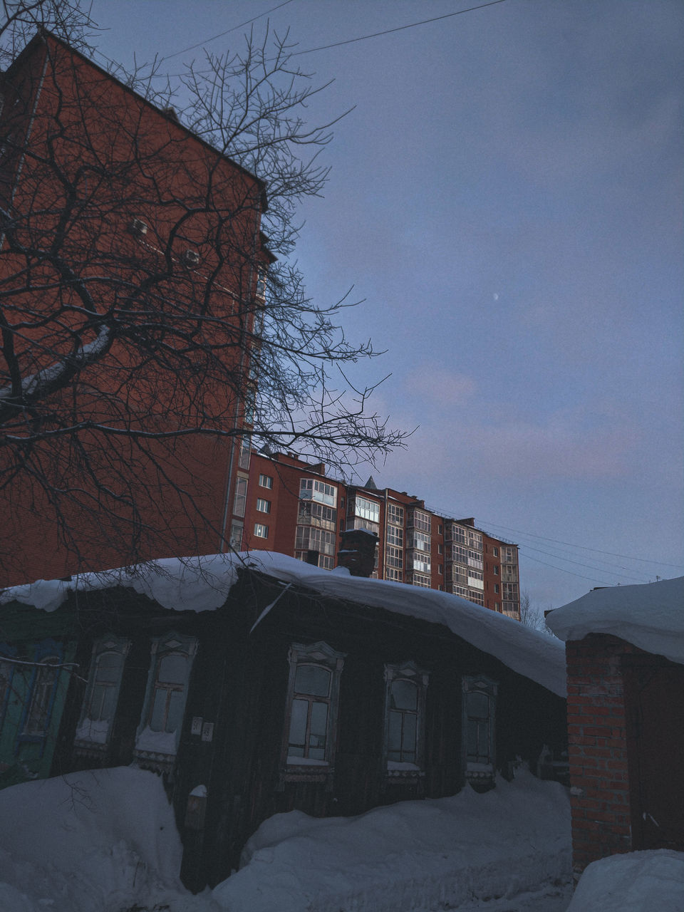 HOUSES BY SNOW COVERED TREES AGAINST SKY