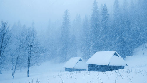 Scenic view of snow covered landscape