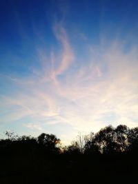 Low angle view of silhouette trees against sky during sunset