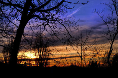 Silhouette bare trees against sky during sunset