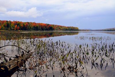 Scenic view of lake against sky during autumn