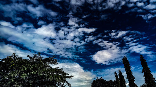 Low angle view of trees against cloudy sky