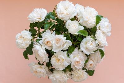 Close-up of white roses