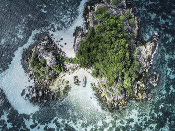 High angle view of people on rock by sea