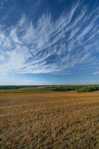 Scenic view of agricultural field against sky
