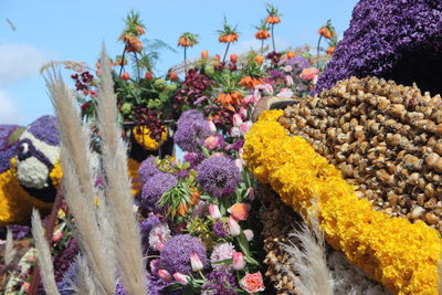 Close-up of multi colored flowering plants at market
