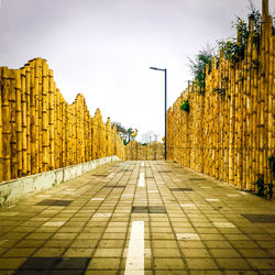 Bamboo road 