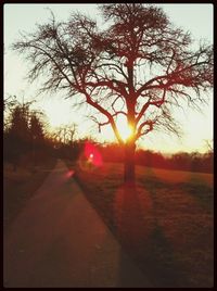 sun