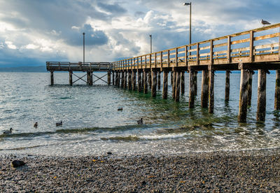 A view of pier piling in redondo beach, washington. tide is low.