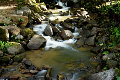 Stream flowing through rocks in forest