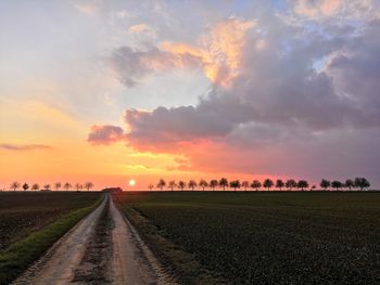 Scenic view of field against sky during sunset