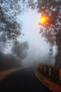 Road amidst trees against sky during winter