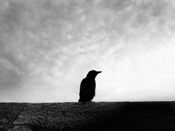 Silhouette of man standing on field against sky