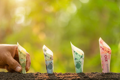 Close-up of hand holding paper outdoors