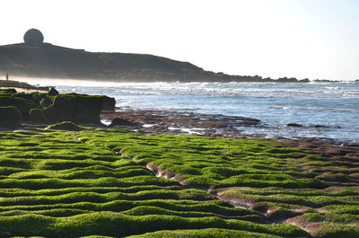 Scenic view of sea against clear sky