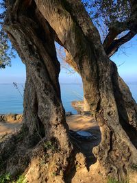 Scenic view of rock formation amidst trees against sky