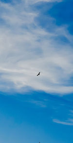 Low angle view of bird flying in sky