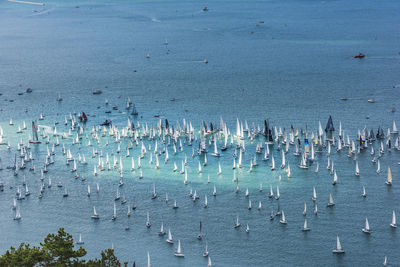 High angle view of seagulls on beach